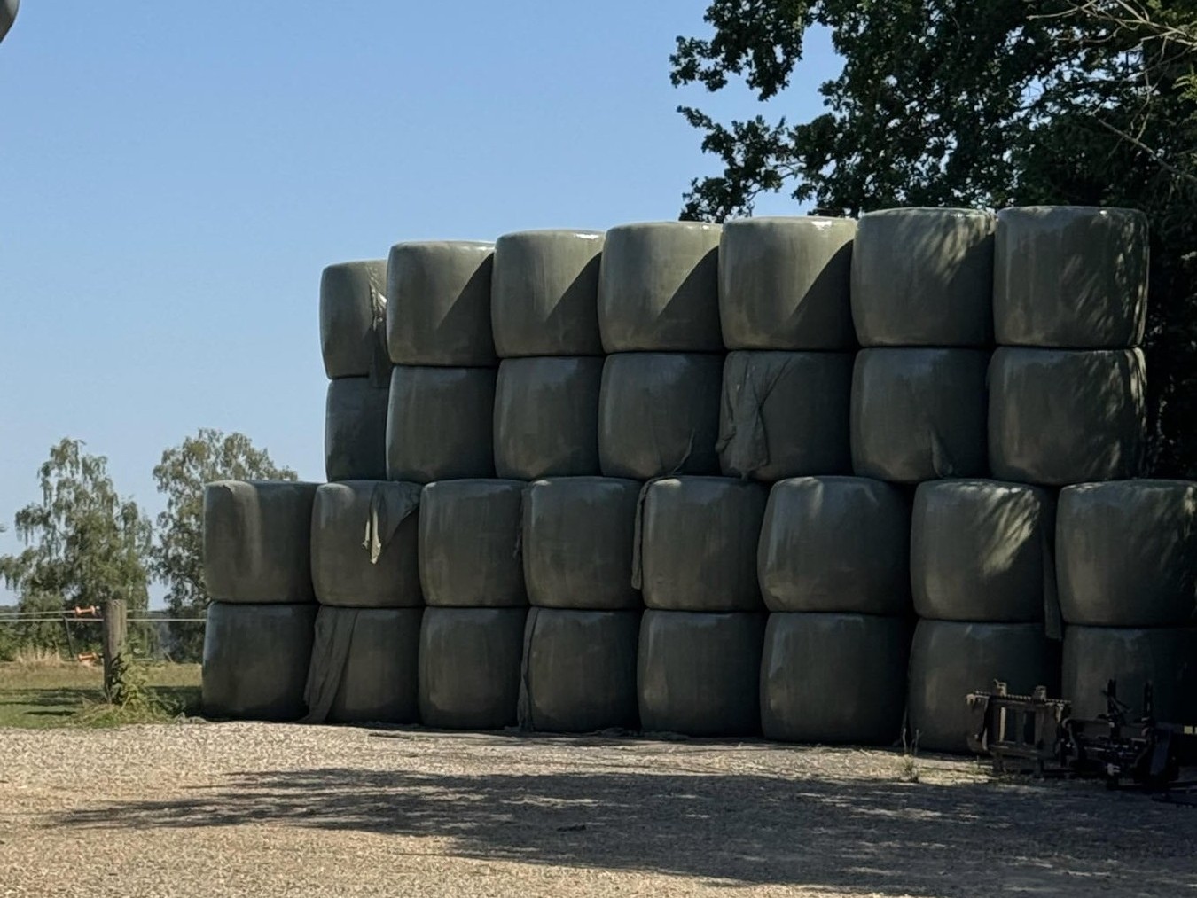 Das Hühnermobil zieht auf die Sommerweide
